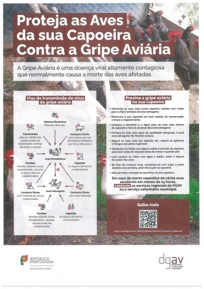 Gripe Avi&aacute;ria