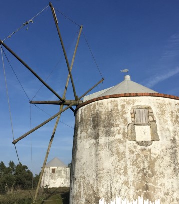 PR 3 - Rota dos Moinhos da Pena