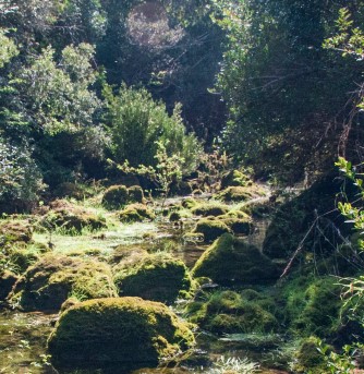 PR 5 - Rota de Fungalvaz