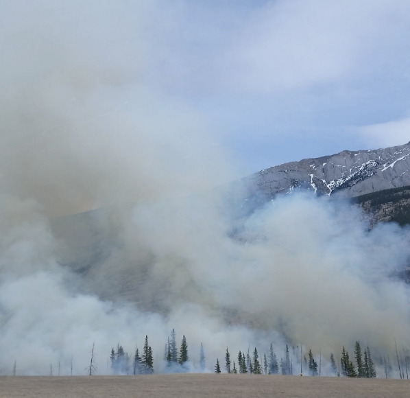 Autorização de queimas e queimadas Autorização de queimas e queimadas